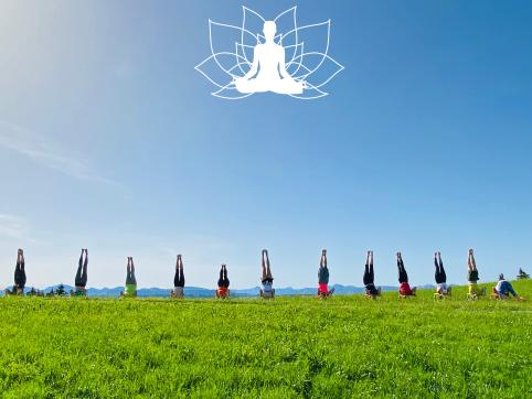 Yoga mit Petra Sept 2027