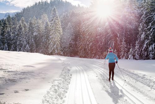 picture Cross-Country Skiing