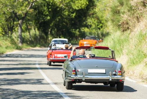 picture motorists