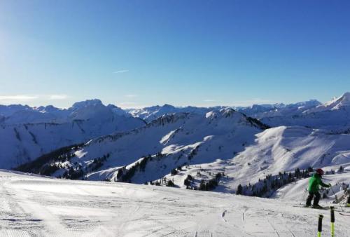 Ski,Bus, Hotel edita, Erholung, entspannen, Urlaub, Berge, Bodenseenähe, Allgäu, Aktiv im Winter, abholen, Service, Skigebiet, Österreich, Après Ski, Planung, alles dabei, Damüls-Mellau, Scheidegg