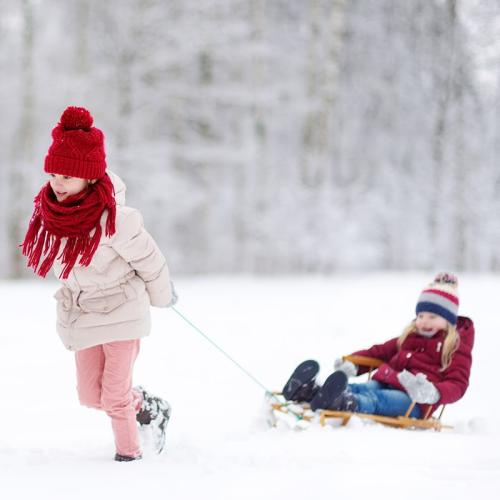 picture toboggan fun
