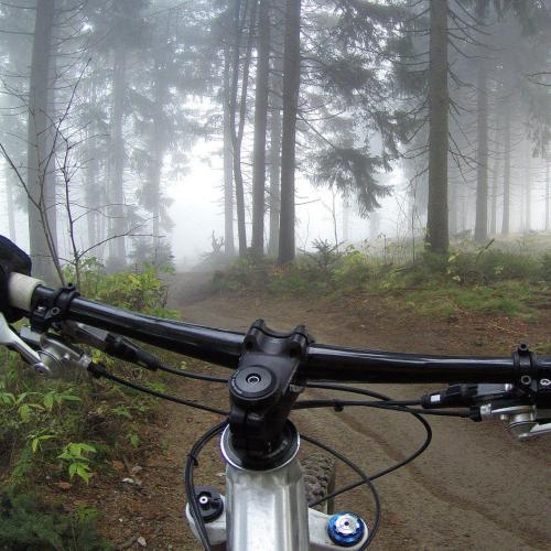 Bike Aktiv Teaser, Fahrrad, Mountainbike