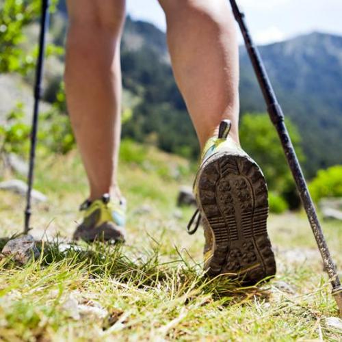 Aktiv Angebot Teaser, Wandern, Natur, grüne Wiesen